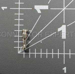 Normal Order - E-TERM191 - Image 4