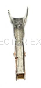 Normal Order - E-TERM491 - Image 4