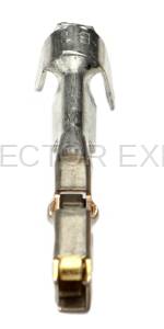 Normal Order - E-TERM491 - Image 5