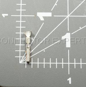 Normal Order - E-TERM491 - Image 6