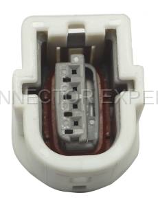 Normal Order - CE4189F - Image 5