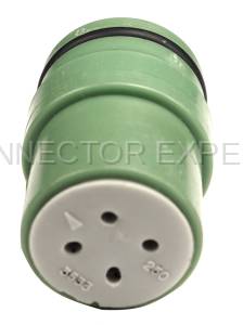 Normal Order - CE4406F - Image 4