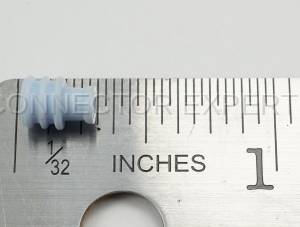 Normal Order - C-SEAL10 - Image 4