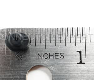 Normal Order - C-SEAL23 - Image 3