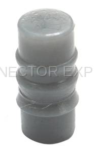 Normal Order - C-SEAL24 - Image 2