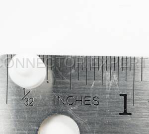 Normal Order - C-SEAL28 - Image 2