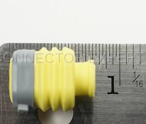Normal Order - C-SEAL56 - Image 4