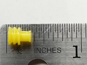 Normal Order - C-SEAL62 - Image 4