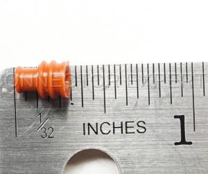 Normal Order - C-SEAL67 - Image 3