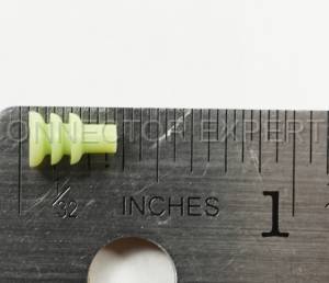 Normal Order - C-SEAL89 - Image 3