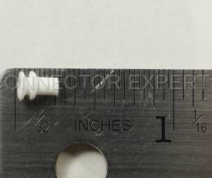 Normal Order - C-SEAL91 - Image 4