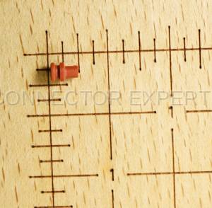 Normal Order - C-SEAL98 - Image 3