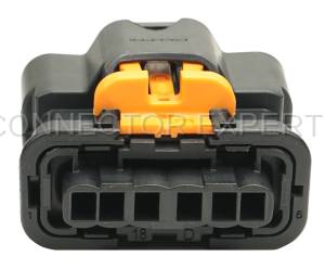 Normal Order - CE6209BR - Image 4