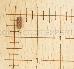 Normal Order - C-SEAL99 - Image 3