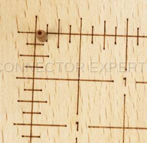 Normal Order - C-SEAL99 - Image 4
