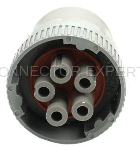 Normal Order - CE5139F - Image 2