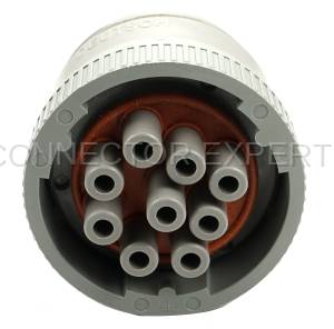 Normal Order - CE9034F - Image 2