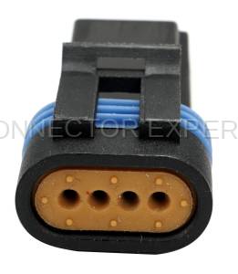 Normal Order - CE4426 - Image 3