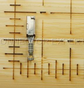 Normal Order - E-TERM384D - Image 4
