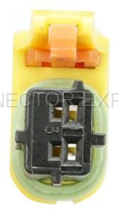 Normal Order - CE2507 - Image 3