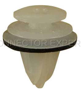 A-RETAINER-2