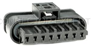 Normal Order - CE8029 - Image 2