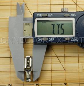 Normal Order - F-TERM1109 - Image 5