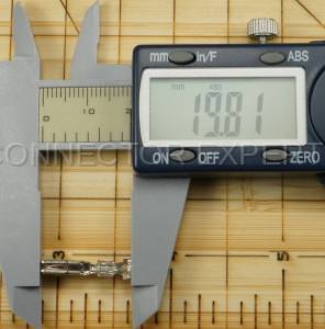 Normal Order - F-TERM1119 - Image 5
