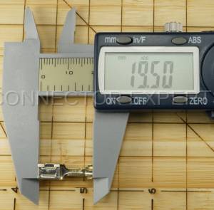 Normal Order - E-TERM495B - Image 5