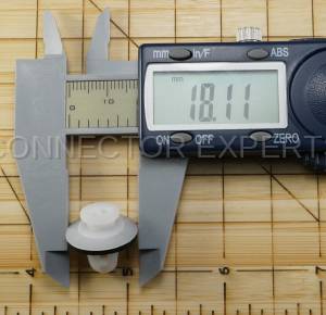 Special Order  - C-RETAINER-39 - Image 6