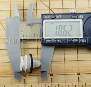 Special Order  - C-RETAINER-40 - Image 6