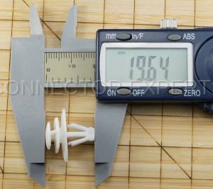 Special Order  - C-RETAINER-42 - Image 6