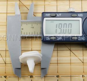 Special Order  - C-RETAINER-42 - Image 7