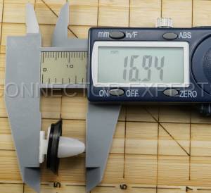Special Order  - C-RETAINER-43 - Image 6