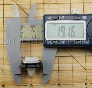 Special Order  - C-RETAINER-43 - Image 7