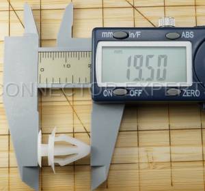 Special Order  - C-RETAINER-46 - Image 6