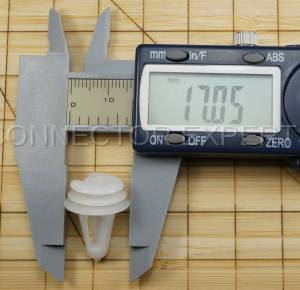 Special Order  - C-RETAINER-47 - Image 7