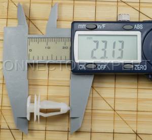 Special Order  - C-RETAINER-47 - Image 6