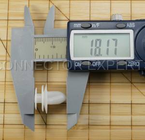 Special Order  - C-RETAINER-49 - Image 6