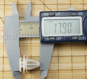 Special Order  - C-RETAINER-52 - Image 7