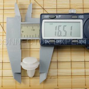 Special Order  - C-RETAINER-52 - Image 6