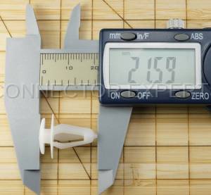 Special Order  - C-RETAINER-54 - Image 7