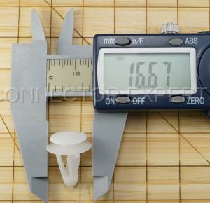 Special Order  - C-RETAINER-54 - Image 6