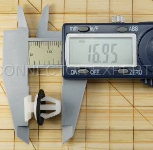 Special Order  - C-RETAINER-55 - Image 6