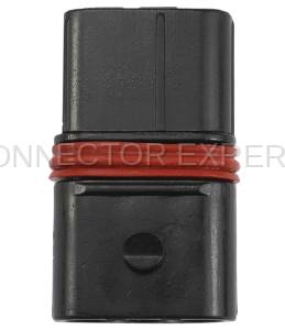 Normal Order - CE3466F - Image 3