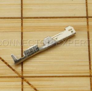 Normal Order - E-TERM488B - Image 4
