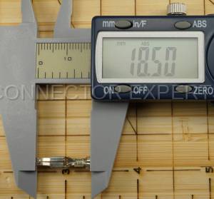 Normal Order - E-TERM517B - Image 6