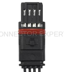 Normal Order - CE4505 - Image 3