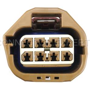 CE8321 - Image 4