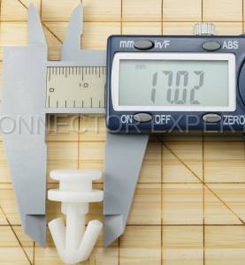 Special Order  - C-RETAINER-59 - Image 6